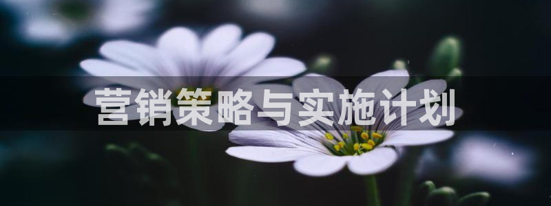 必赢这个平台怎么样啊