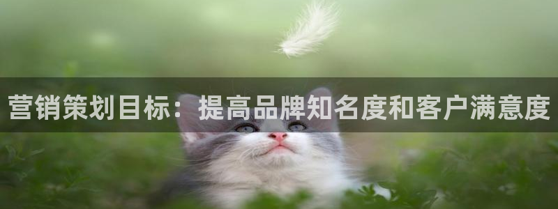 必赢网络游戏平台