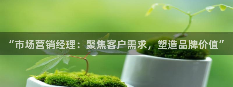 必赢手机app下载 最新版安装