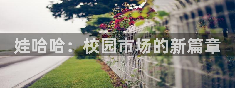 必赢app客户端下载官网手机版