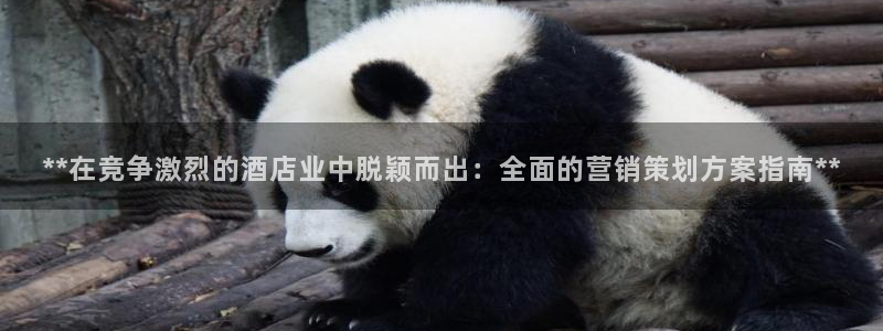 必赢国际437怎么样