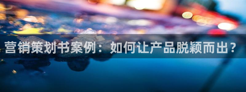 必赢平台官方网站：营销策划书案