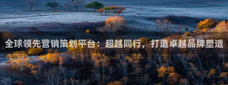 必赢网址手机主页在哪：全球领先