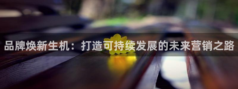 必赢网址手机主页打不开：品牌焕
