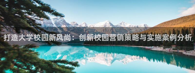 必赢app是干什么的