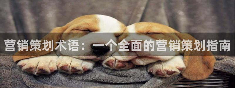 必赢亚赢网站官网下载手机版：营