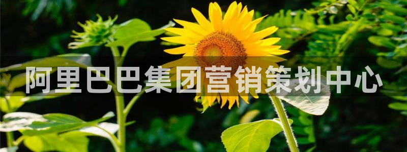 亚洲必赢官网