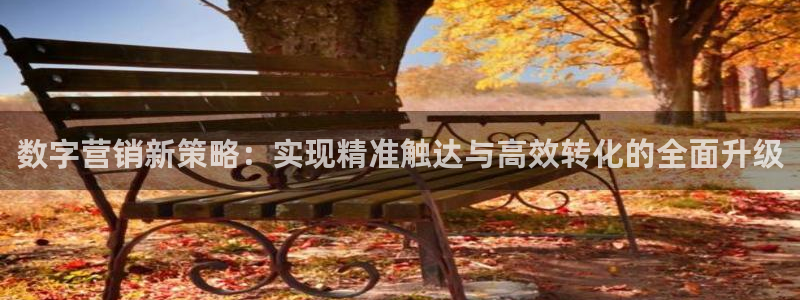 必赢线上网址查询：数字营销新策