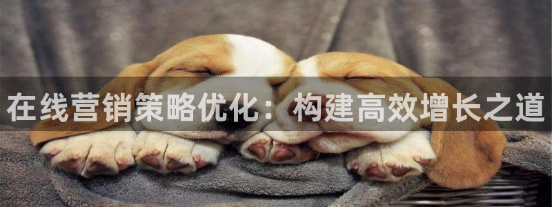 必赢下载：在线营销策略优化：构