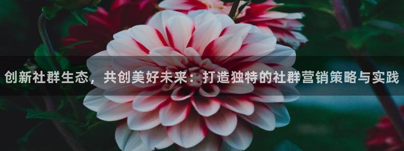 必赢app能挣钱吗是真的吗