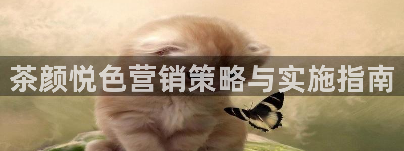 必赢网站平台登录