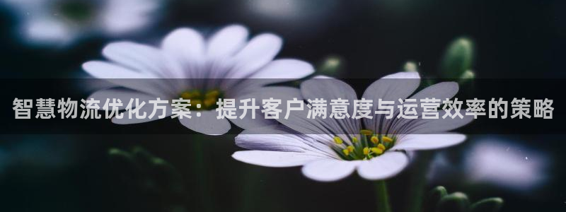 必赢官网网址多少号登录的