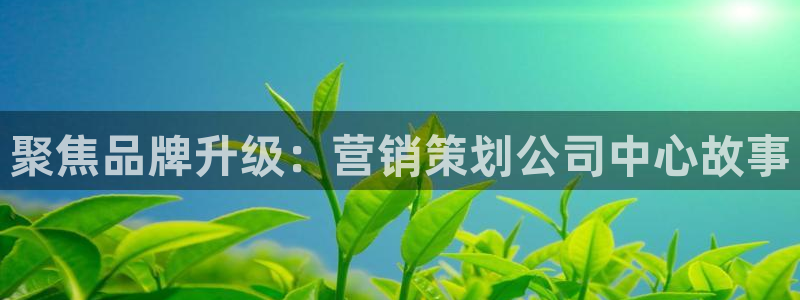 9965必赢游戏网址