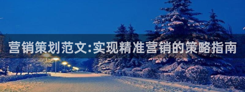 必赢集团网站是什么